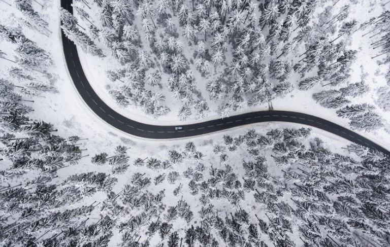 droga i drzewa pokryte śniegiem 